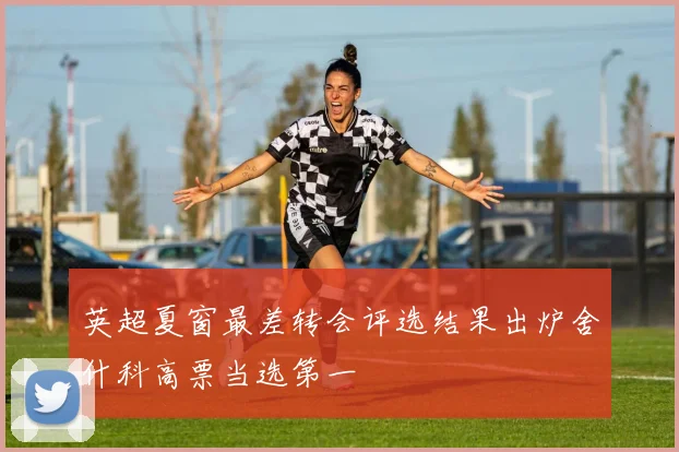英超夏窗最差转会评选结果出炉舍什科高票当选第一