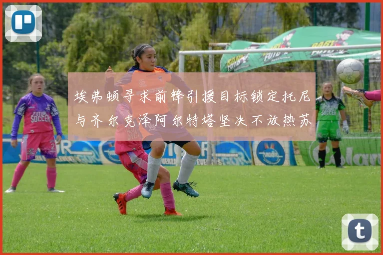埃弗顿寻求前锋引援目标锁定托尼与齐尔克泽阿尔特塔坚决不放热苏斯