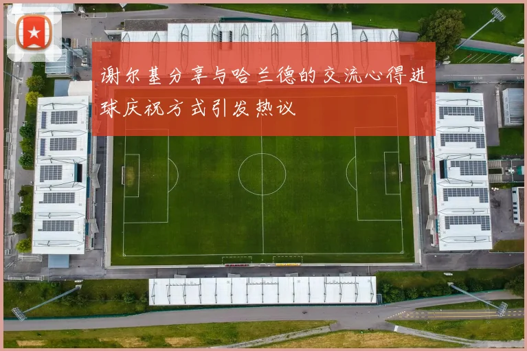 谢尔基分享与哈兰德的交流心得进球庆祝方式引发热议