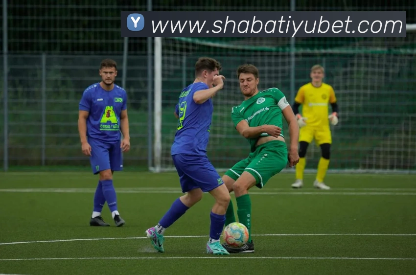 沙巴体育APP 封面图